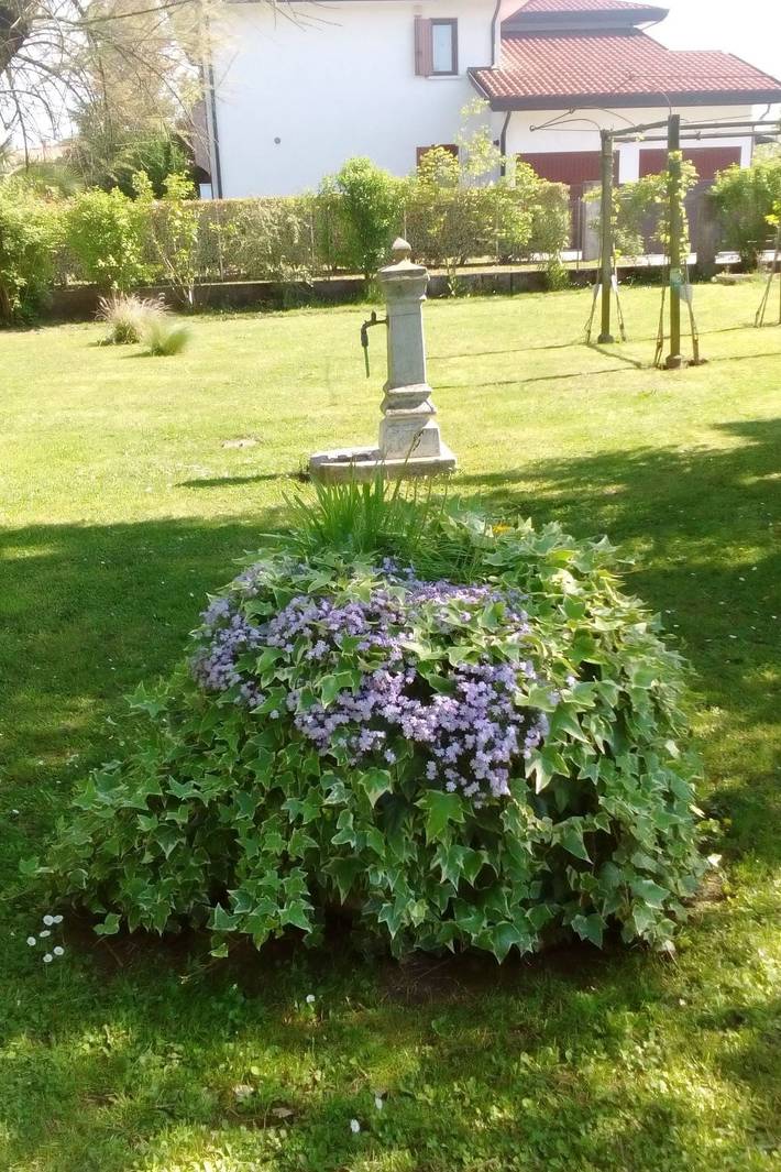 Appartamento intero, Auf einem ummauerten Grundstück in Noventa di Piave, Provincia di Venezia