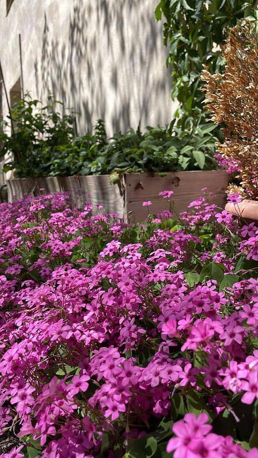 Gîte pour 2 personnes, avec piscine et terrasse à Puyvert - 3