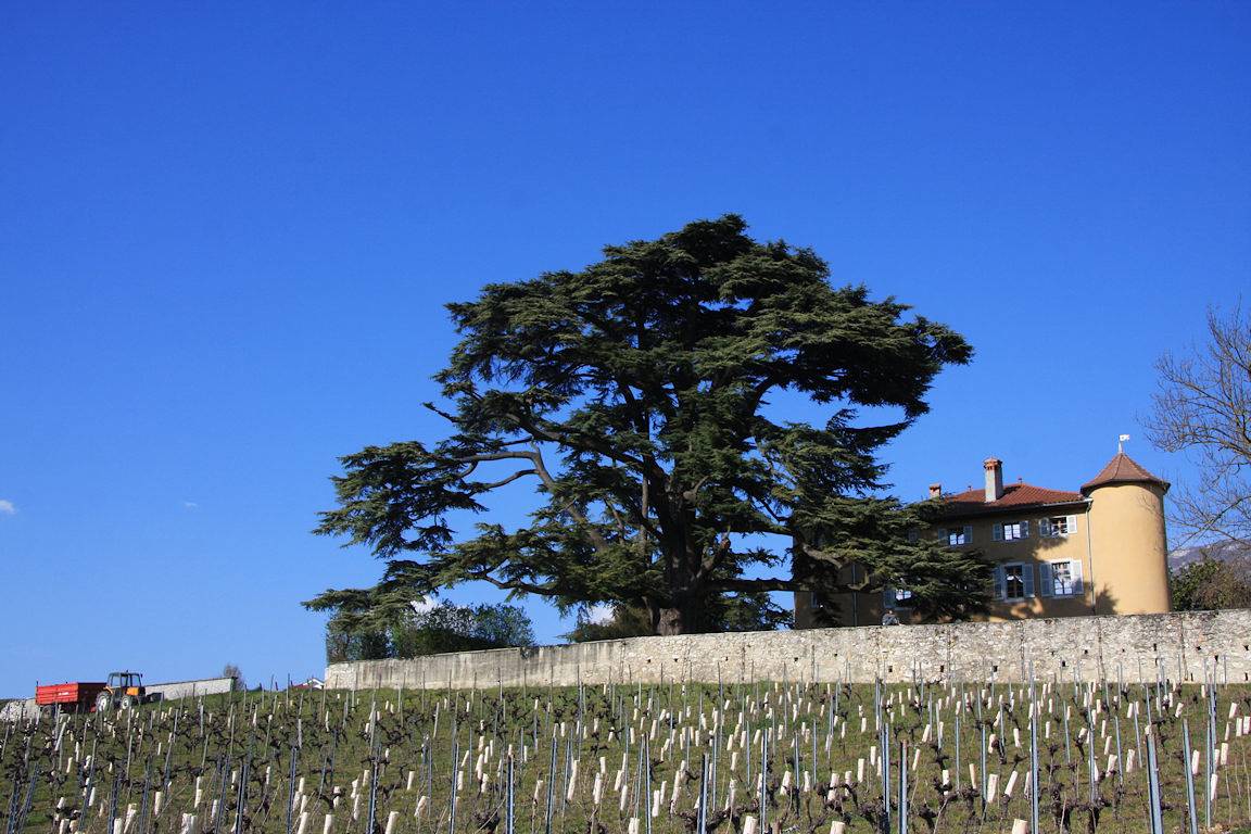 Chambres d'hôtes au Château la Violette Les Marches Savoie - Louise in Porte-de-Savoie, Région de Chambéry