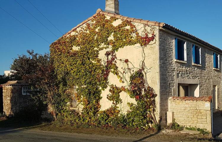 Location de vacances pour 2 personnes, avec piscine ainsi que jardin et terrasse, animaux acceptés à Le Gué-d'Alleré - 2