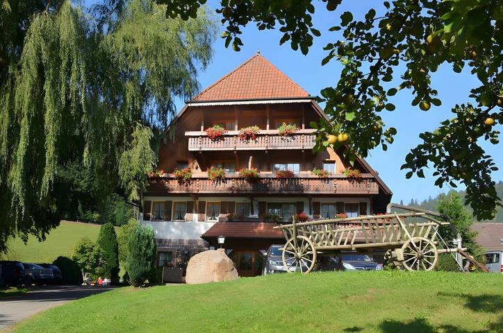 Kamer 'Doppelzimmer 7' met uitzicht op de bergen, gedeeld terras en Wifi in Ehlenbogen, Alpirsbach