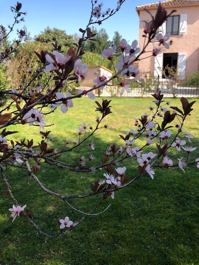 Location de vacances pour 6 personnes, avec jardin ainsi que piscine et vue à Passa - 4