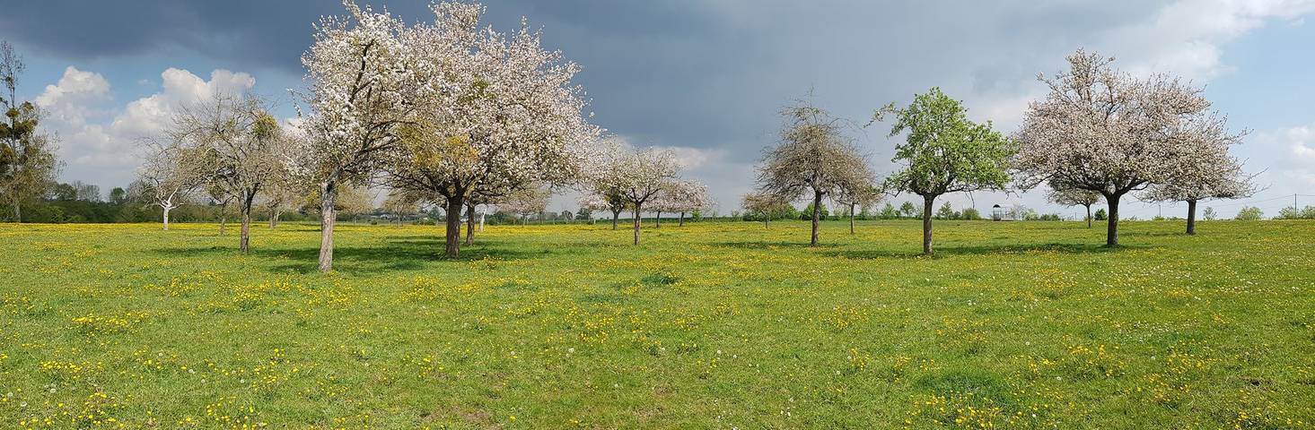 Chambre d’hôte pour 2 personnes, avec jardin dans la Sarthe - 4