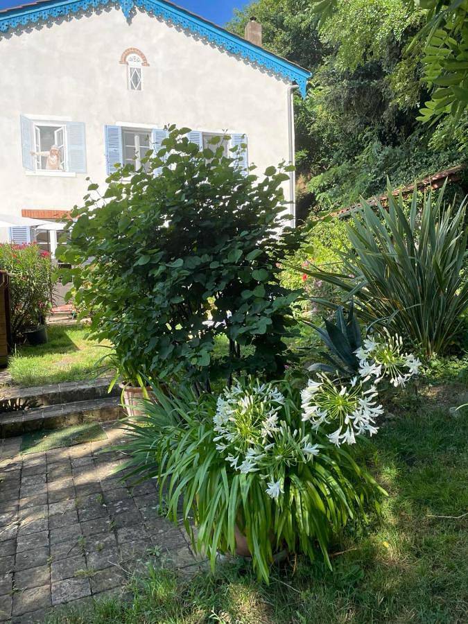 Chambre d’hôte pour 2 personnes, avec jardin ainsi que vue et terrasse, animaux acceptés à Vaux-en-Beaujolais