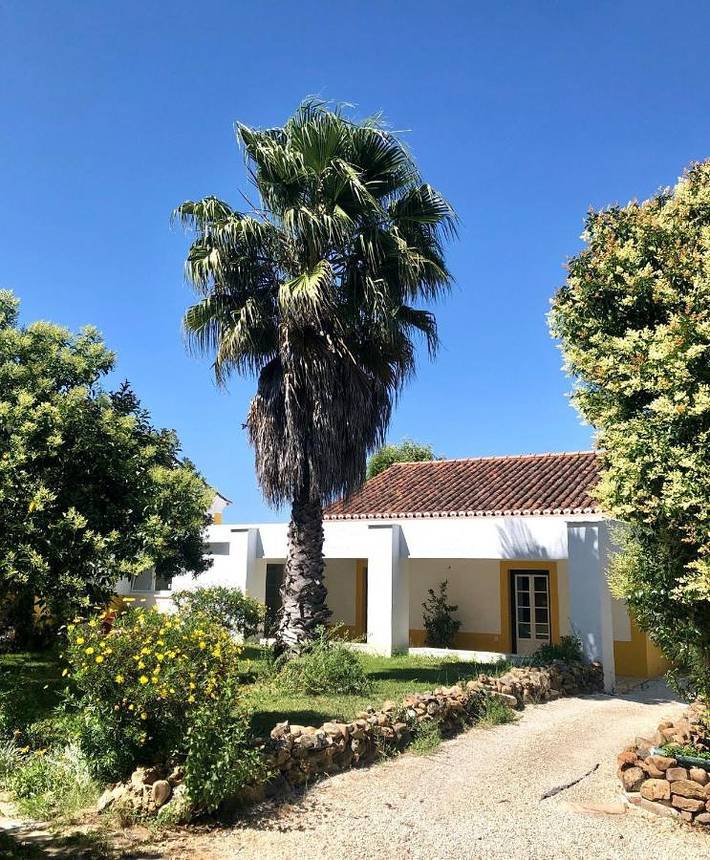 Maison de campagne pour 4 personnes, avec terrasse et vue ainsi que piscine et jardin, animaux acceptés à Borba - 3