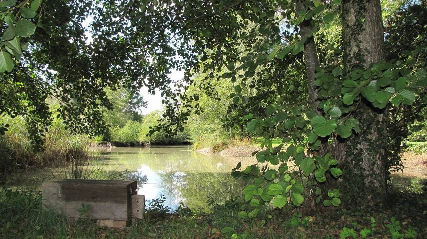 Location de vacances pour 2 personnes, avec jardin dans Sologne - 4