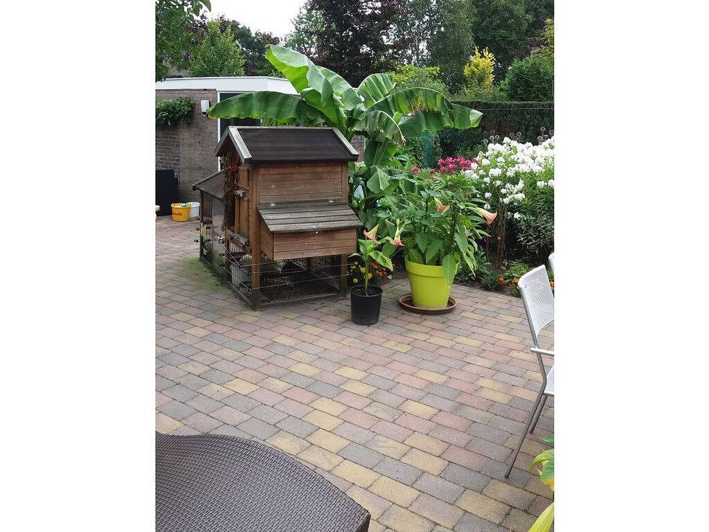 Ferienhaus mit 2 Schlafzimmer in Schoorl, Noord-Holland - Nordseeküste