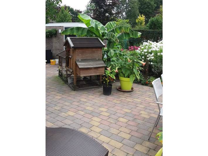 Ferienhaus für 3 Personen, mit Terrasse und Garten in Schoorl - 2