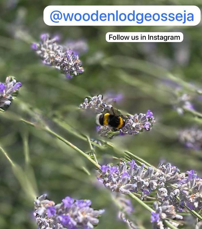 Gîte pour 2 personnes, avec terrasse et vue à Osséja - 3