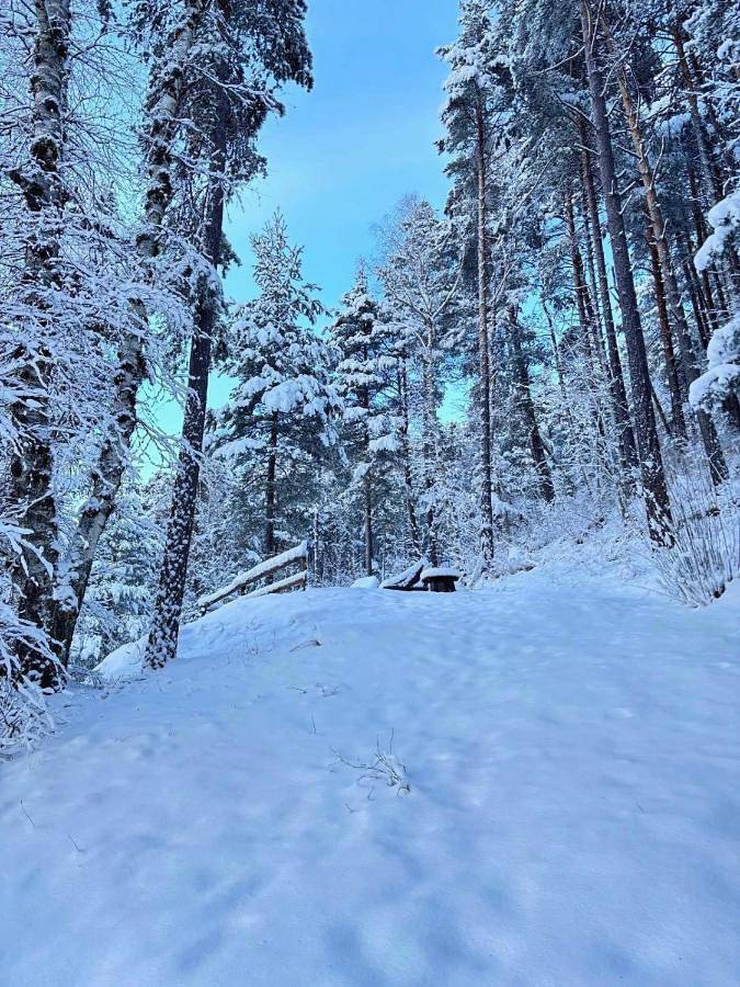 Gîte pour 6 personnes, avec terrasse et vue, animaux acceptés à Colmars - 3