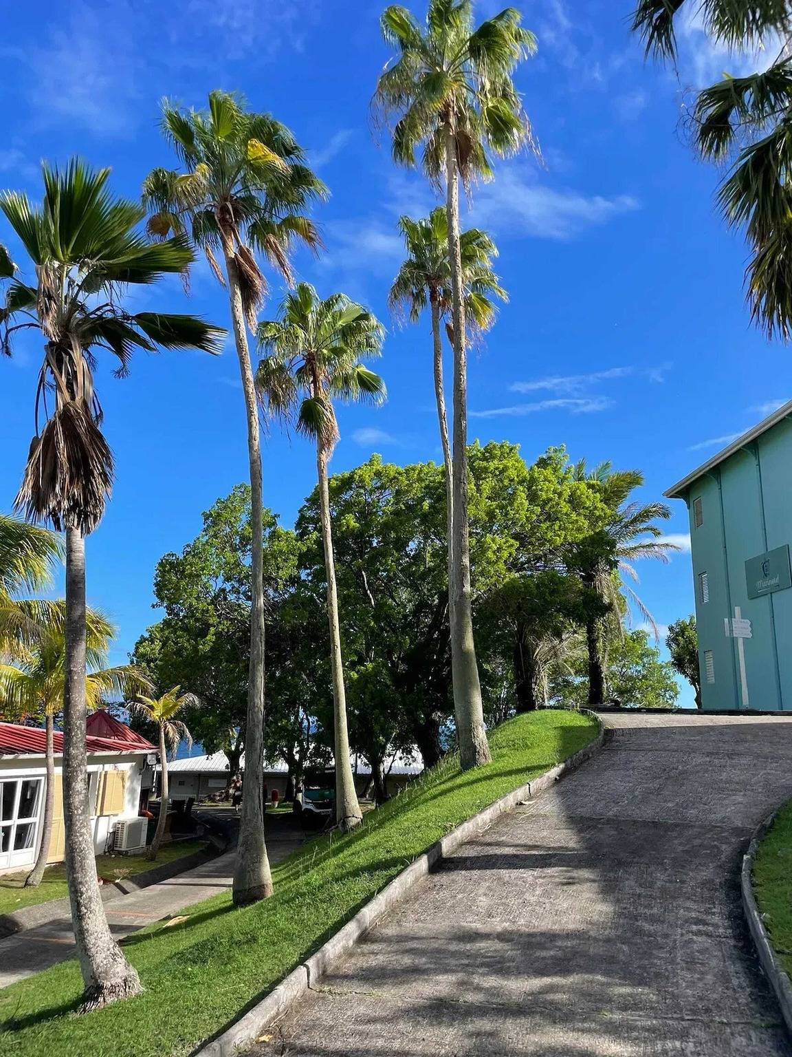 Ganzes Studio, Charmante Wohnung im Diamant 30 m² mit Meerblick in Le Diamant, Martinique