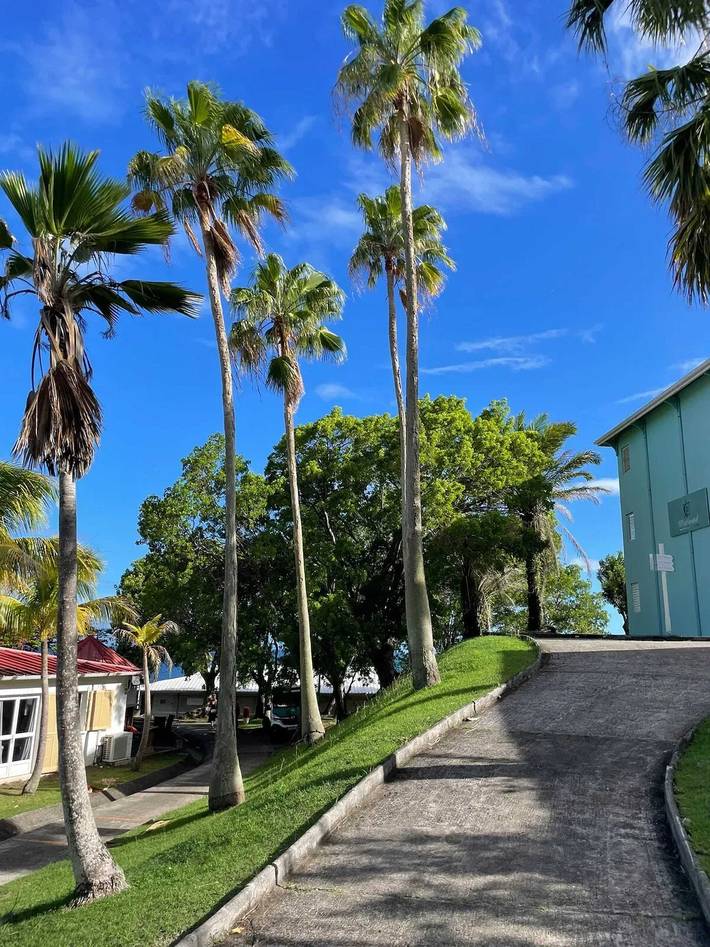 Gîte pour 2 personnes, avec piscine et balcon à Le Diamant - 2