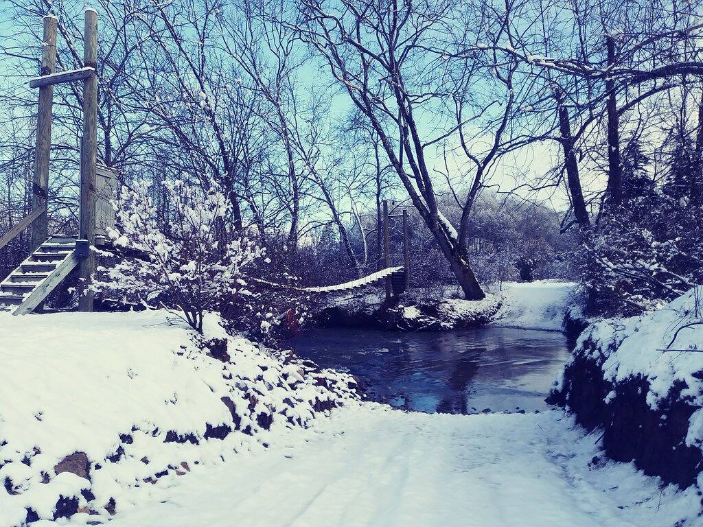 Cabin with two trout rivers onsite. Brevard and Pisgah National Forest close by. in Transylvania County