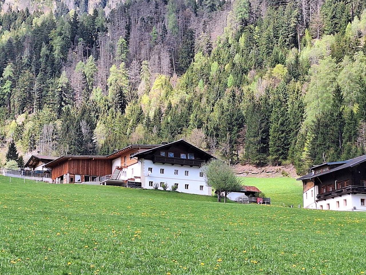 Ganze Ferienwohnung, Familie Tagger/Burgfrieden in Leisach, Osttirol