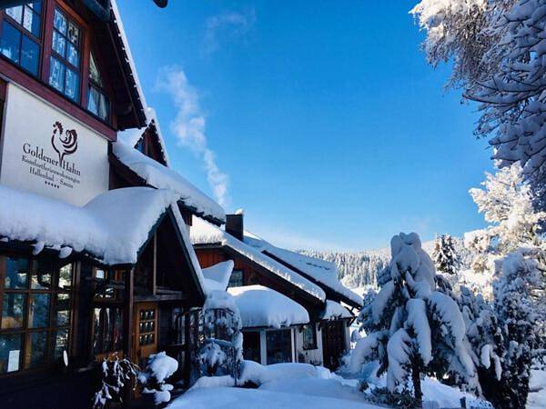 Chambre d’hôte pour 3 personnes, avec piscine ainsi que sauna et balcon à Baiersbronn - 4