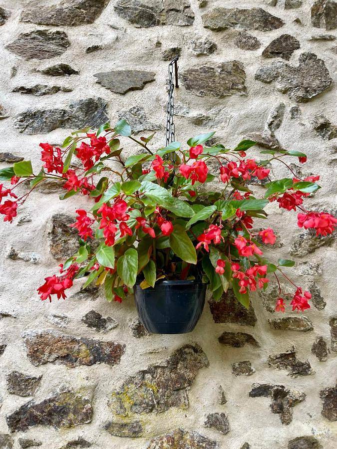 Location de vacances pour 5 personnes, avec vue ainsi que jardin et piscine, animaux acceptés à Bussière-Badil - 3