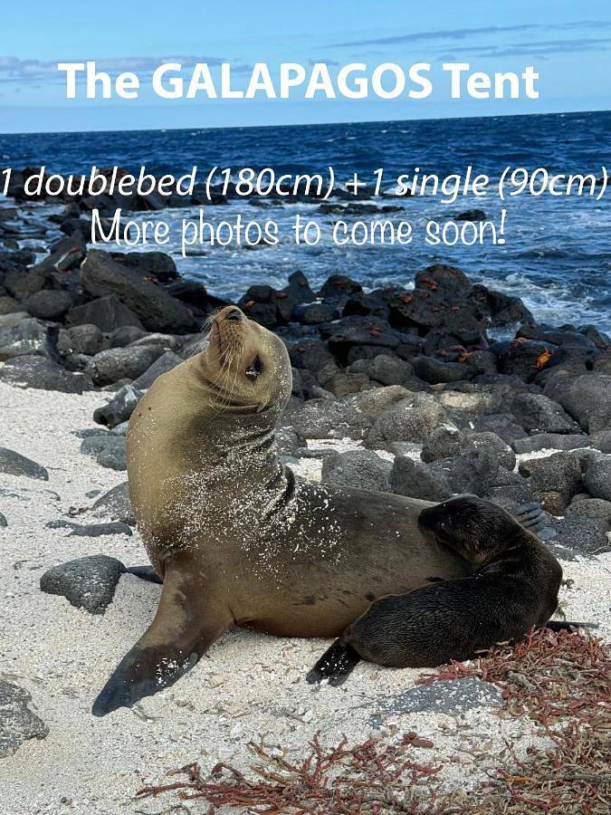 Bungalow für 4 Personen, mit Terrasse und Garten sowie Ausblick in Schweden - 2