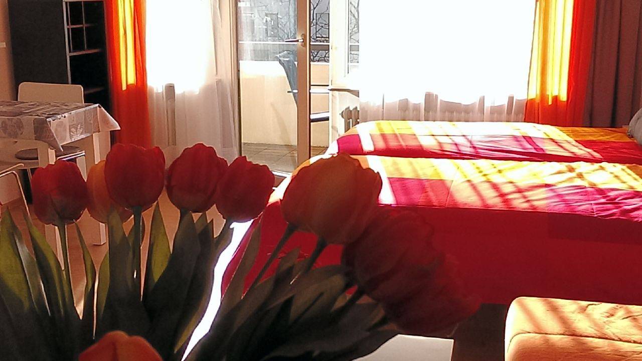 Apartamento vacacional entero, Apartamento de vacaciones para 4 personas con balcón/terraza in Friburgo, Bosque Negro sur