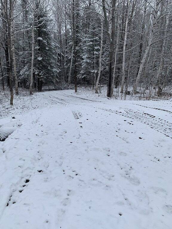 Post and beam cabin with bunk beds in Piscataquis County