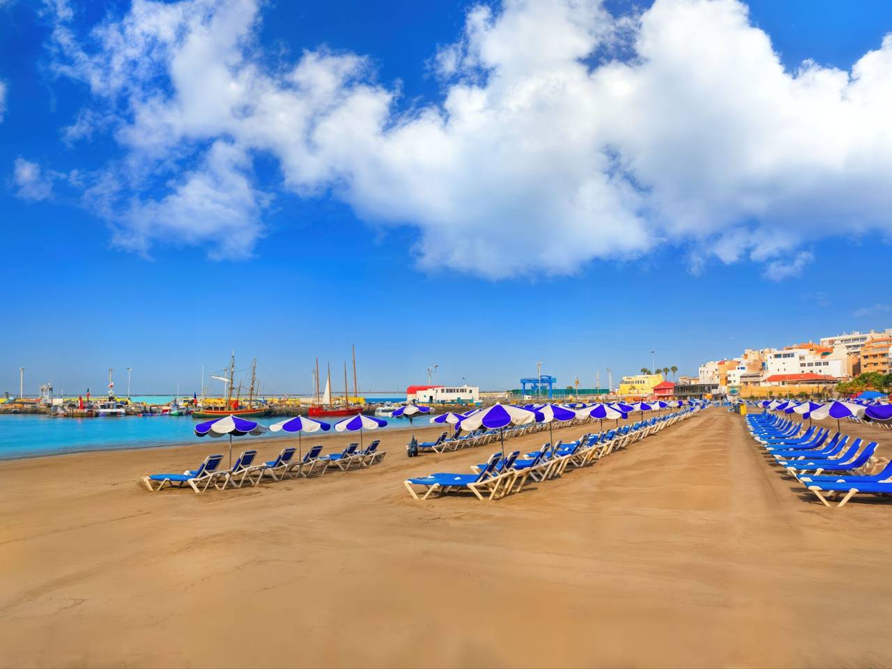 Entire apartment, "Designer Oasis" in Los Cristianos, Arona