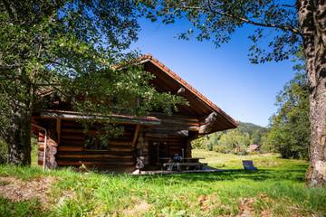 Chalet pour 10 personnes, avec terrasse et jardin, adapté aux familles dans La Bresse-Hohneck