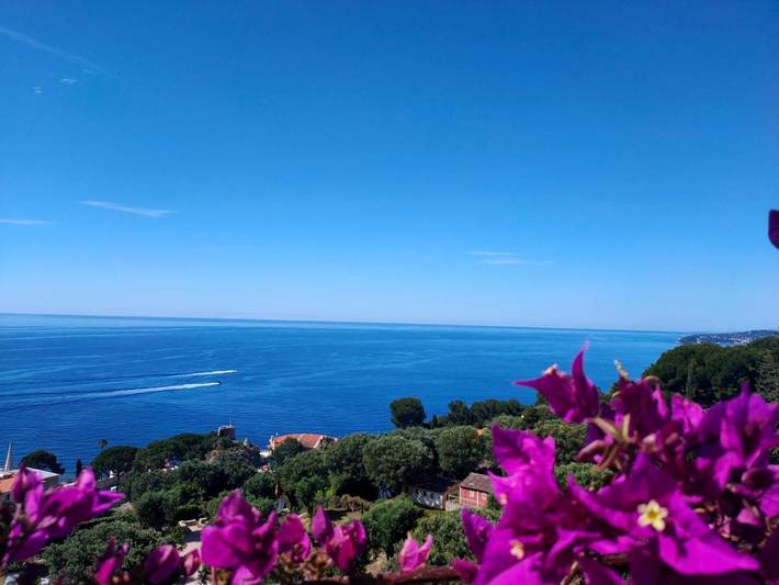 Apartamento de vacaciones para 2 personas, con vistas y jardín - 1