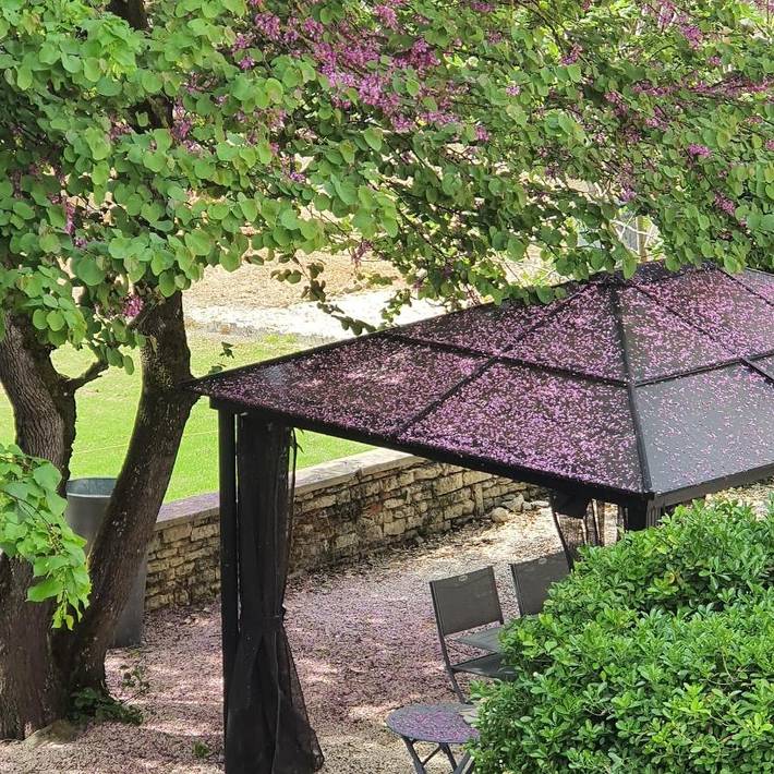 Location de vacances pour 5 personnes, avec Jacuzzi et Terrasse ainsi que Jardin et Sauna à Saint-Jean-de-Liversay