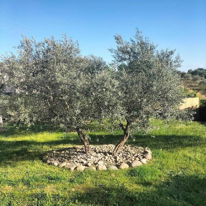 Chambre d’hôte pour 2 personnes, avec Terrasse ainsi que Jardin et Vue à Esparron-de-Verdon