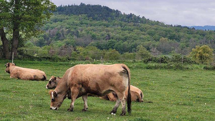 Gîte pour 7 personnes, avec jardin et vue, animaux acceptés dans Javaugues