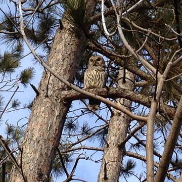 Barn for 12 Guests in Lake Ontario (Canada), Ontario, Picture 2