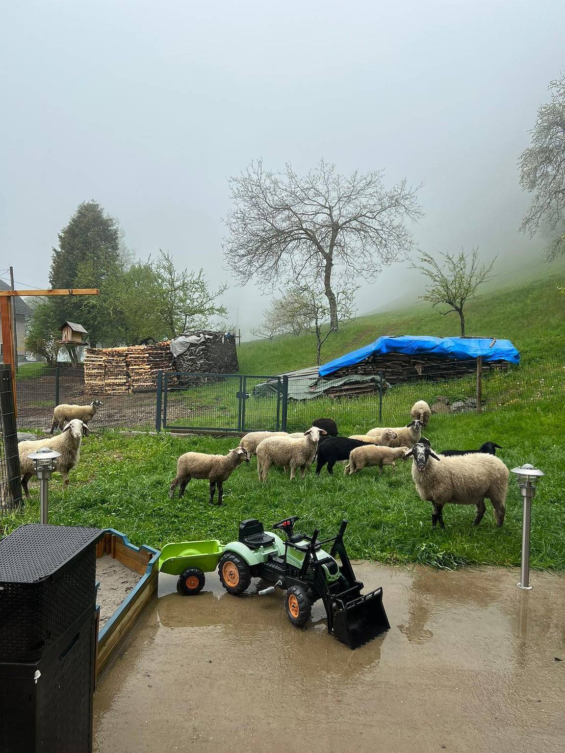 2 Et. Apartment Berg-Panorama in Treffen am Ossiacher See, Gerlitzen