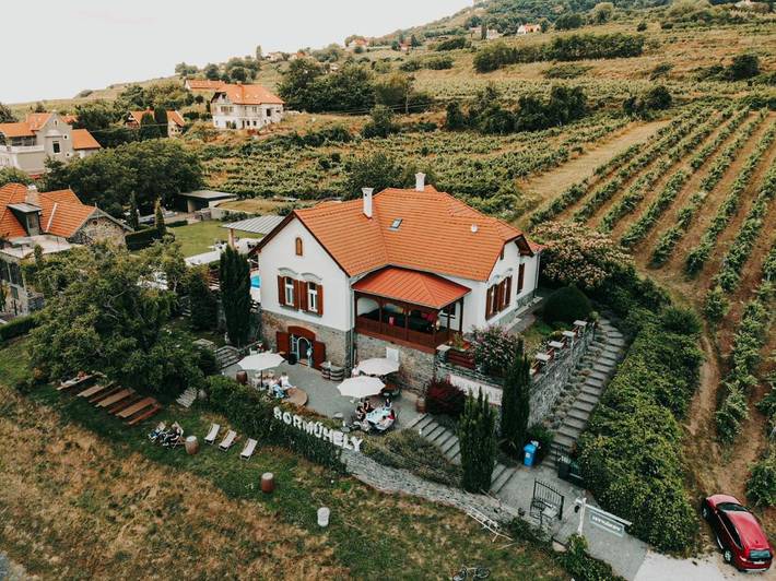 Villa für 14 Personen, mit Pool und Seeblick sowie Garten und Ausblick am Balaton - 4
