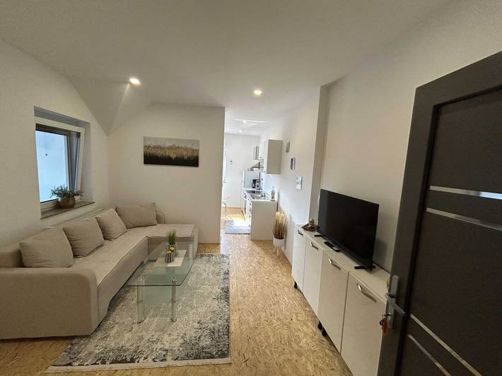 Holiday rental for 4 people, with pets in Ljubljana