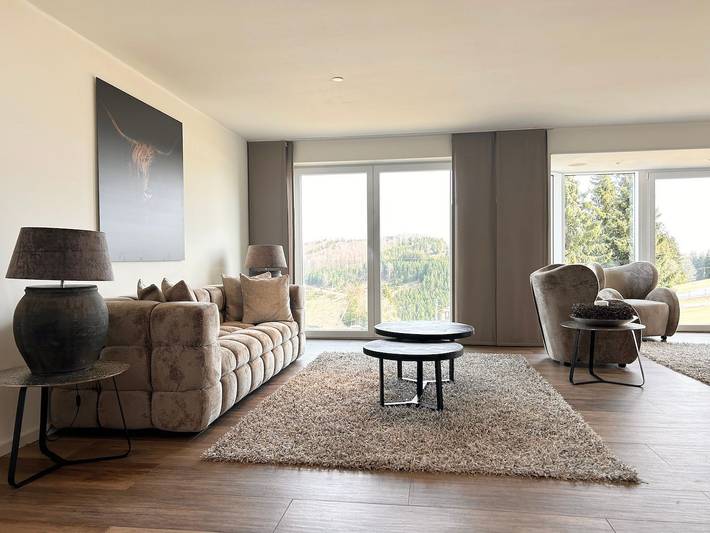 Ferienhaus für 13 Personen, mit Terrasse und Garten sowie Sauna und Ausblick in Neuastenberg - 4