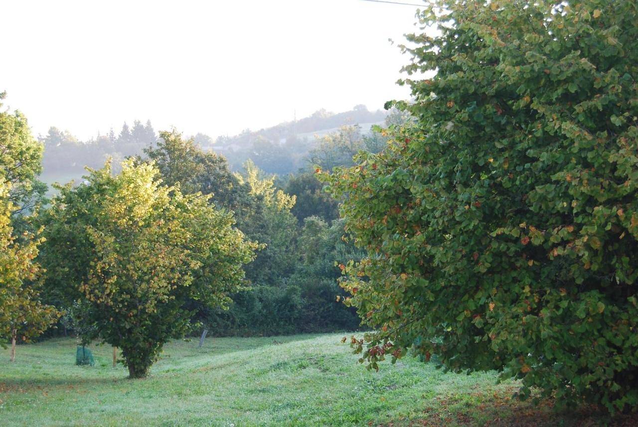 Appartement entier, Il Paradiso monolocale Cottage in Albareto, Apennin Parmensan
