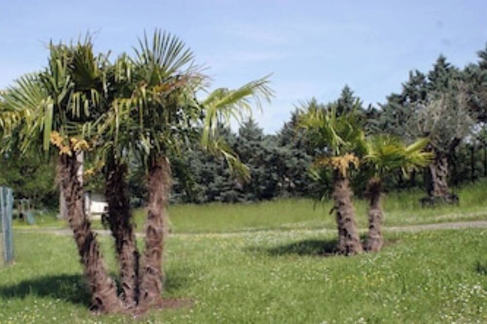The Hill at the Chalets House T2, N2 in Saint-Chamarand, Quercy