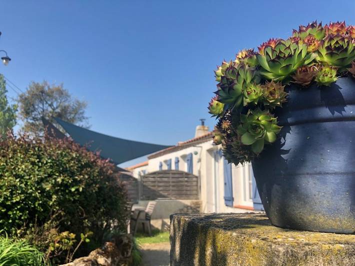 Gîte pour 3 personnes, avec jardin, animaux acceptés en Vendée - 3