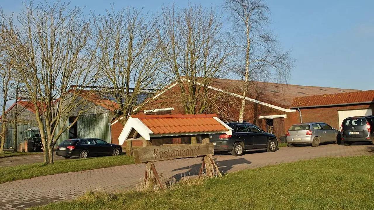 Bauernhof für 5 Personen (60 m²) in Westerholt in Westerholt, Landkreis Wittmund