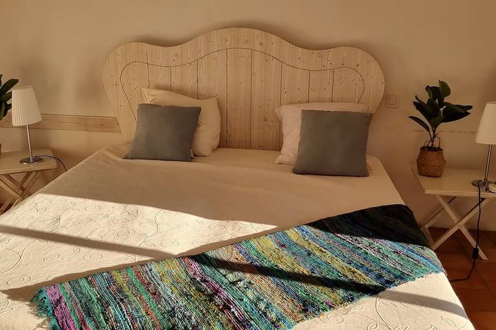 Location de vacances pour 8 personnes, avec jardin et piscine dans La Ceze La Roque Sur Ceze - 4