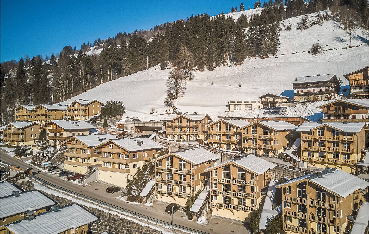 Geheel vakantieappartement, Gezellig appartement met sauna en terras, op 300 meter van het Skicircus Saalbach-Hinterglemm in Viehhofen, Pinzgau