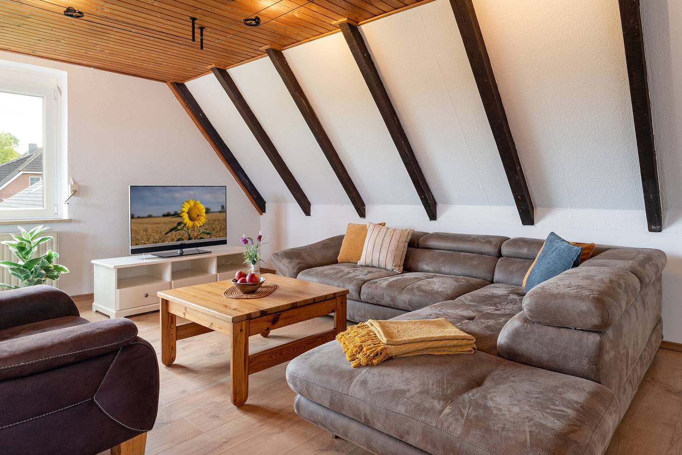 Ganze Ferienwohnung, Apartment Dorfkugel in Glasau, Südliche Ostseeküste