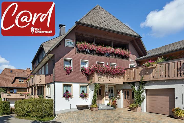 Geheel appartement, Haus Schmid – Vakantiewoning Buntspecht / Zuidbalkon / licht / modern / wifi / Zwarte Woud uitzicht in Kappel (Lenzkirch), Lenzkirch