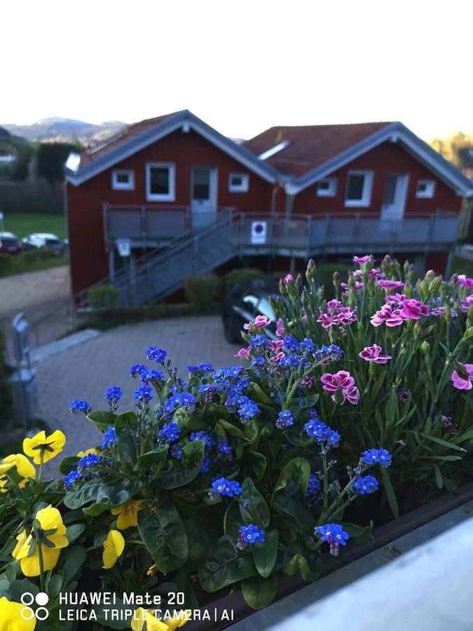 Hotel für 3 Personen, mit Balkon und Terrasse sowie Garten und Pool in Neukirchen (Niederbayern) - 2