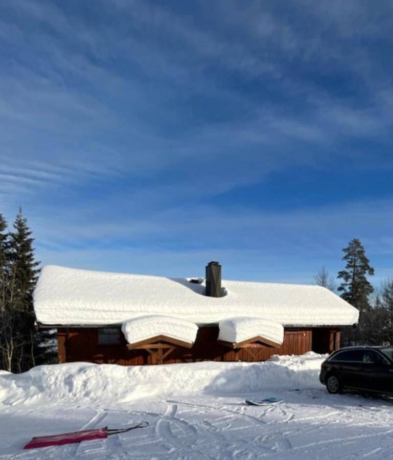 Trysil - Ski in/out in Innbygda, Trysil