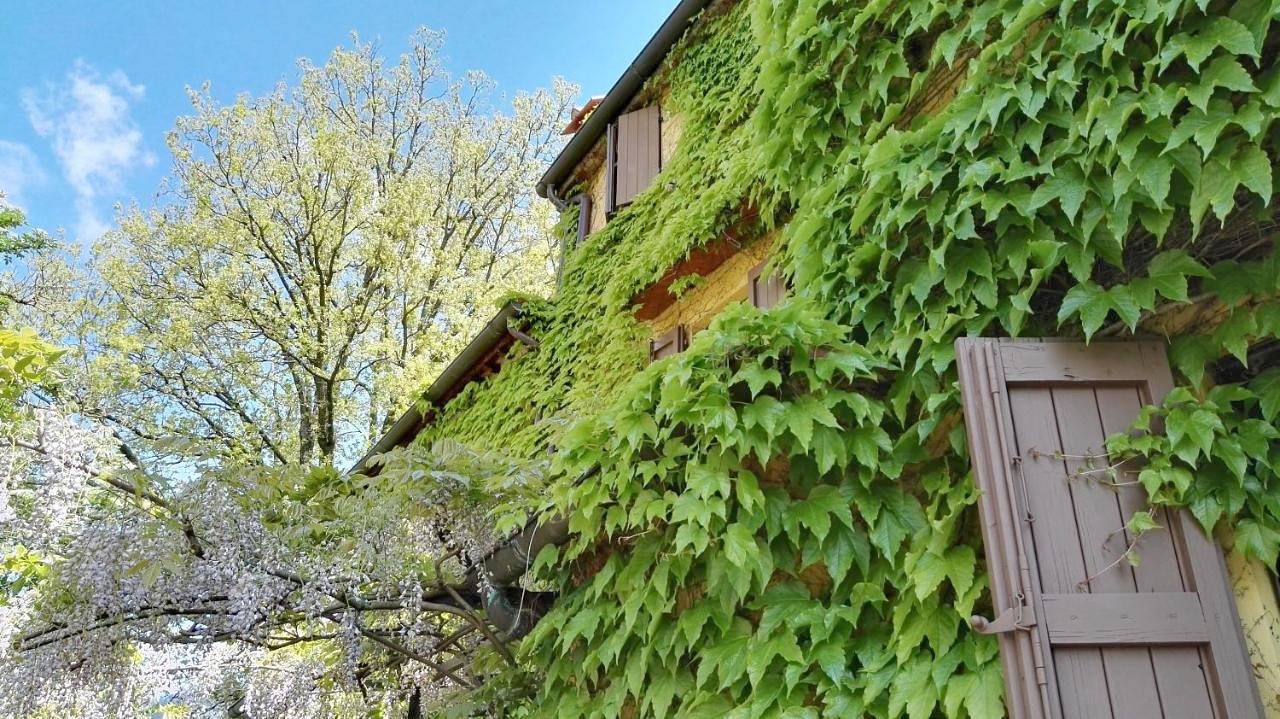 B&B Le Due Volpi in Vicchio, Firenze province