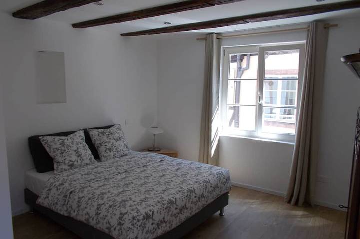 Le figuier-House-City-Ensuite with Bath-Canal view in Colmar, Colmar region