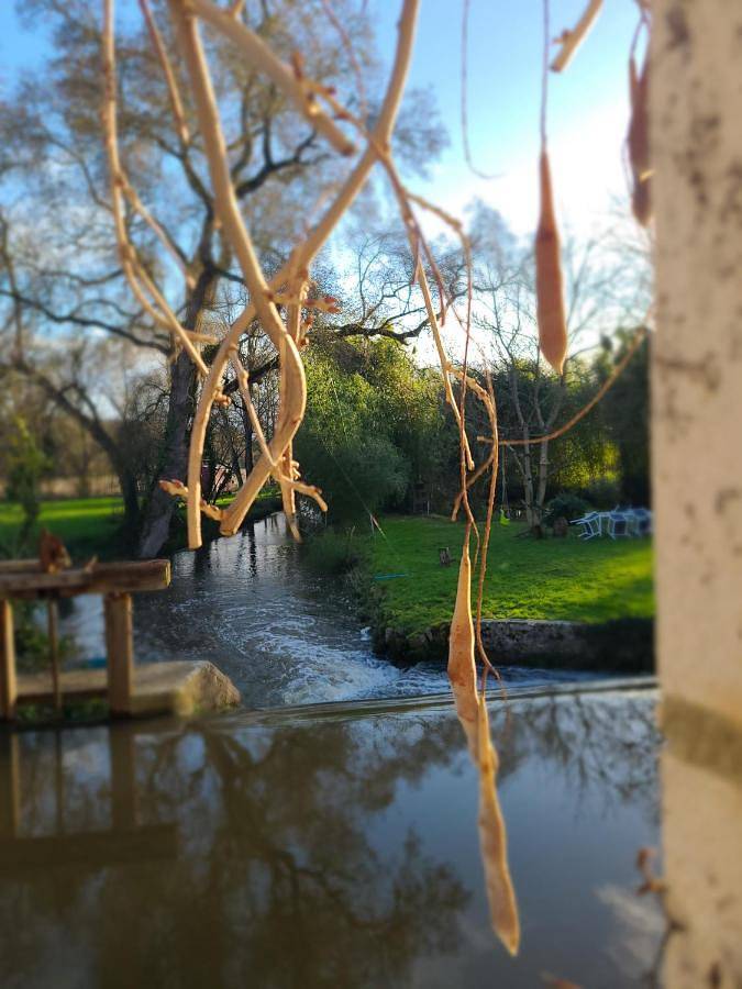 Maison de campagne pour 2 personnes, avec vue et piscine ainsi que bassin pour enfant et jardin à Baugé-en-Anjou - 2