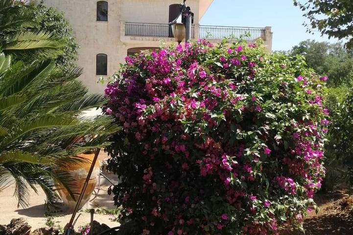 Villa for 7 people, with garden and balcony - 1