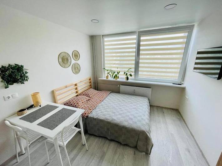 Apartament wakacyjny dla 2 osób, zwierzęta dozwolone w Kłajpeda