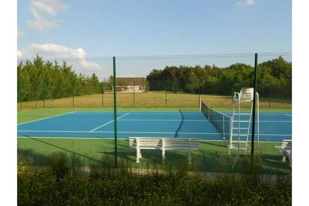 House with private pool on a property with fishing ponds and tennis court in Fontaines-en-Sologne, Sologne